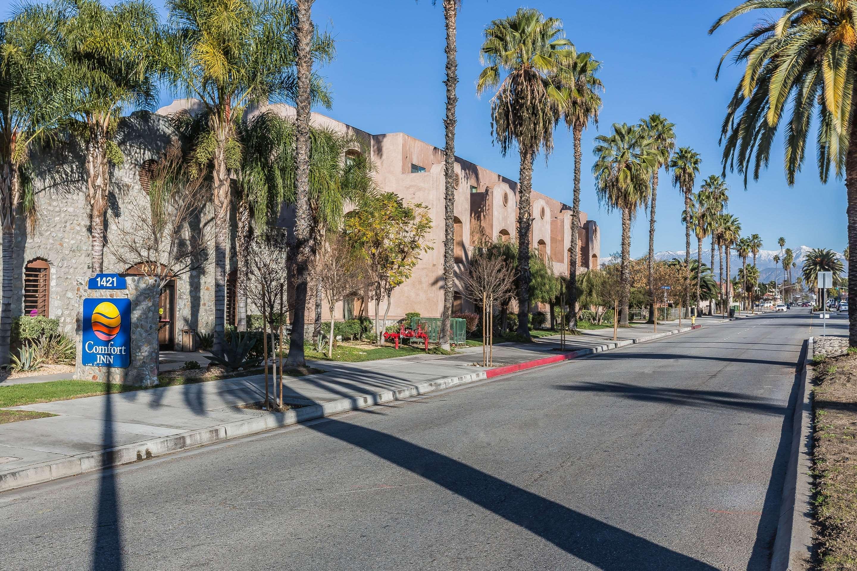 Comfort Inn Pomona Near Fairplex מראה חיצוני תמונה