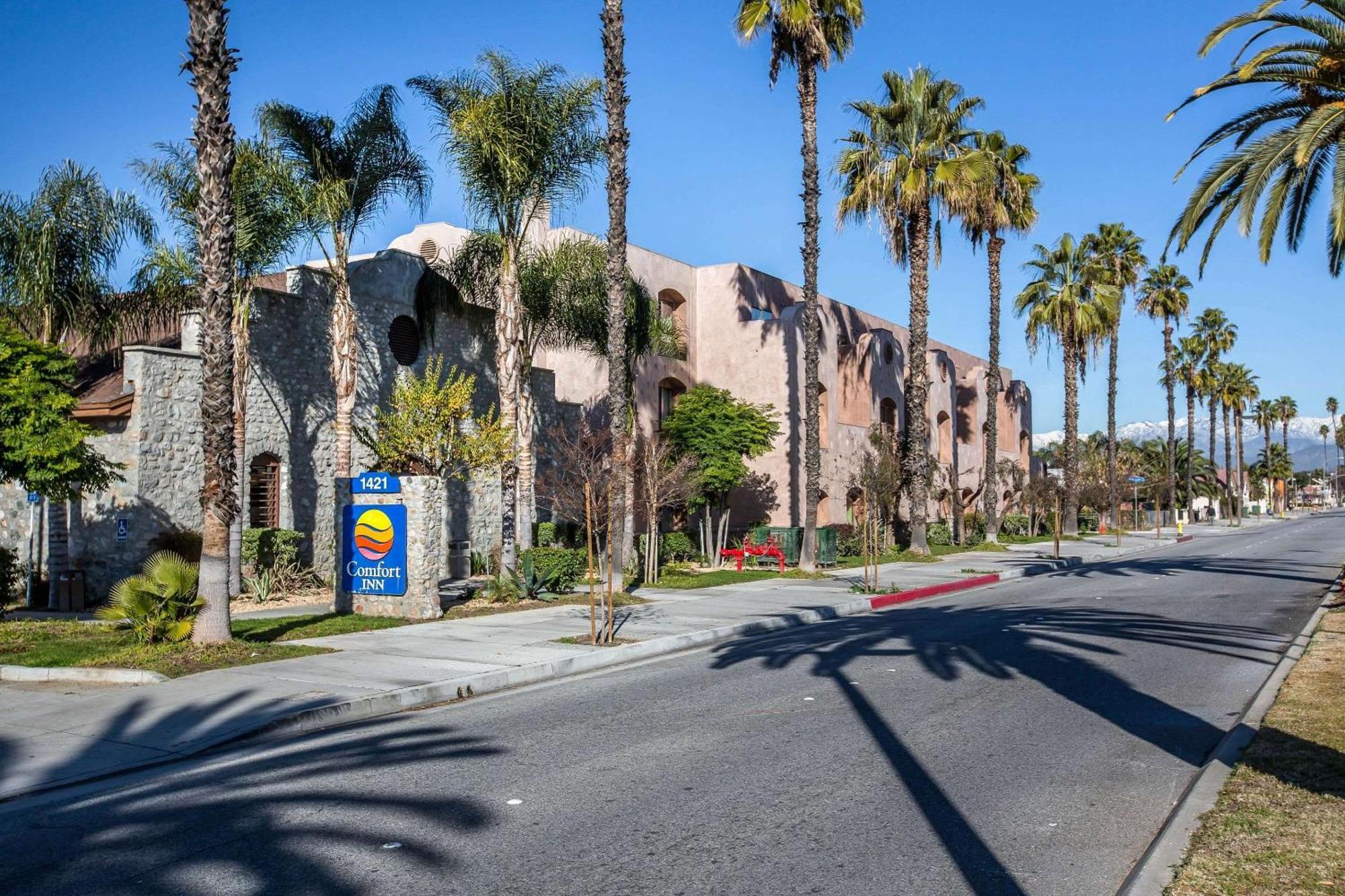 Comfort Inn Pomona Near Fairplex מראה חיצוני תמונה